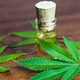 Illustration for article titled Pure CBD Oral Spray Guideem/em